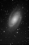 [M 81.jpg] [1023x1536] [249.77 Ko]
